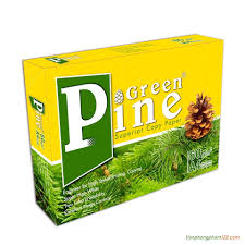 a4 green pine